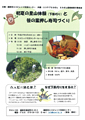 初夏の里山体験