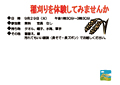 稲刈り体験