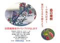 森の楽校