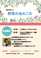 野草いろいろ