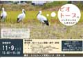 ビオトープ