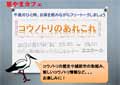 コウノトリ
