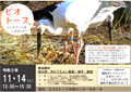 コウノトリ