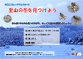 里山の冬