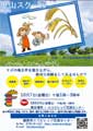 稲刈り