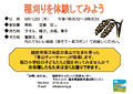 稲刈り