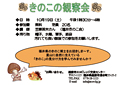 きのこ観察会
