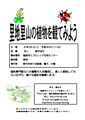 里地里山の植物観察