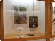 展示室