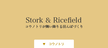 コウノトリと田んぼづくり